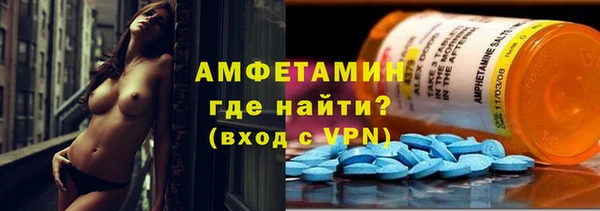 гидра Абаза