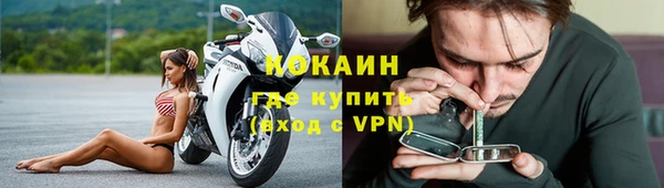 гидра Абаза
