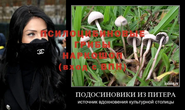 2c-b Алексин
