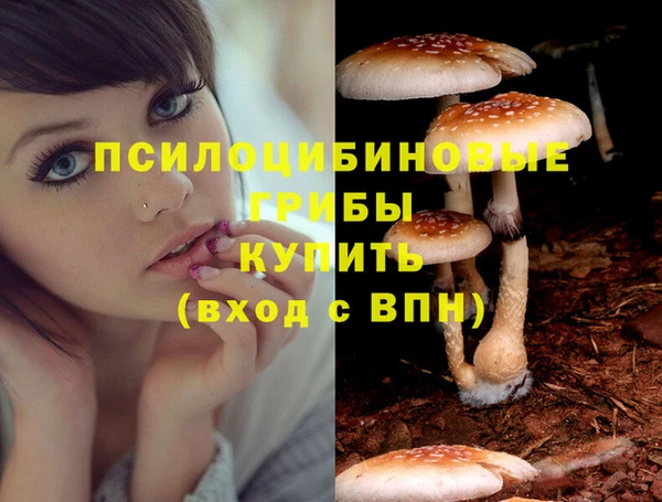 твердый Алексеевка