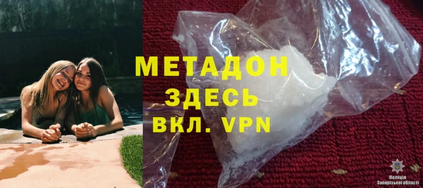 прущие грибы Абинск